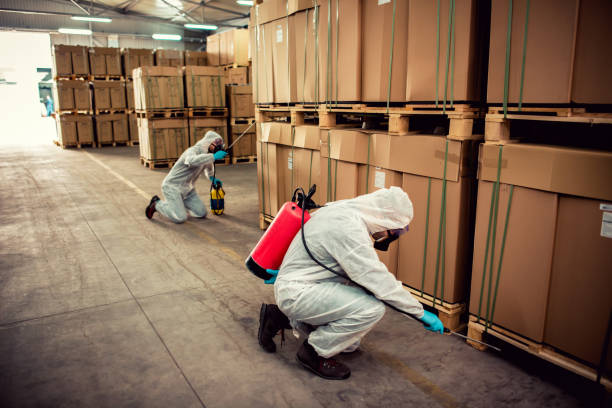 Best Termite Control Services  in Clayton, IN