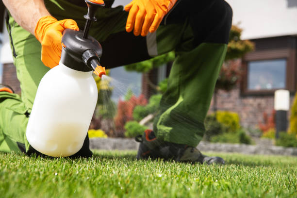 Best Local Pest Control Services  in Clayton, IN