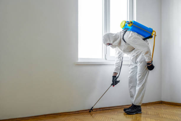 Flea Control Services in Clayton, IN