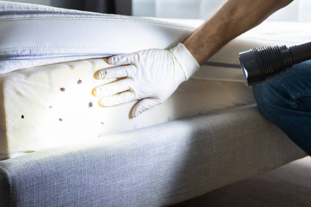 Best Pest Inspection Near Me  in Clayton, IN