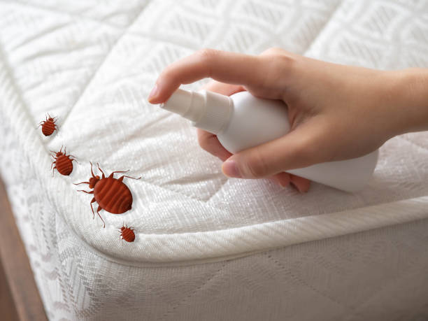 Best Best Pest Control Companies  in Clayton, IN