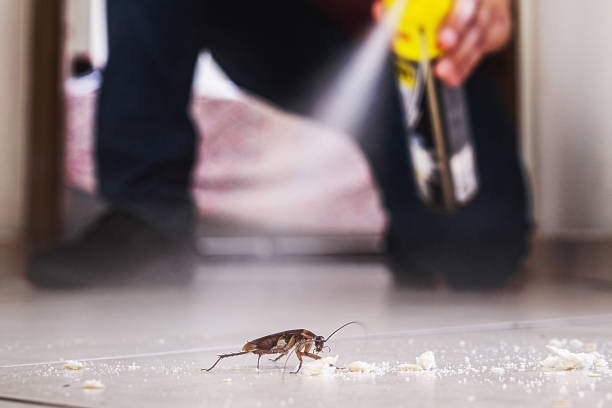 Best Best Pest Control Companies  in Clayton, IN