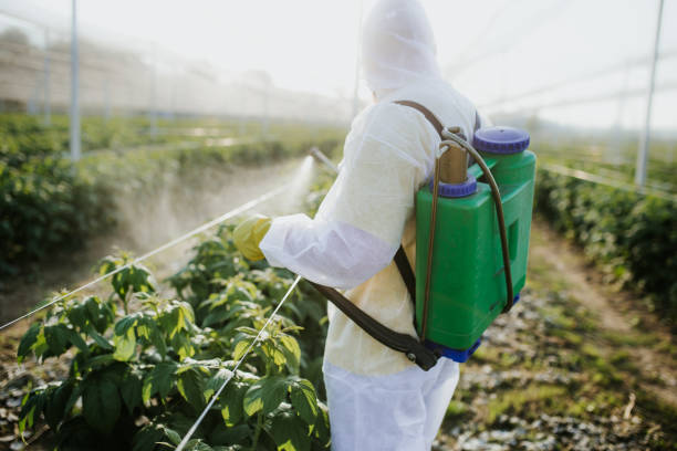 Pest Control Cost in Clayton, IN